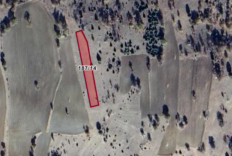 KONYA ÇUMRA AFŞARI KÖYÜNDE 991 M²TARLA SATILIKTIR. - KONYA ÇUMRA fotoğraf 2